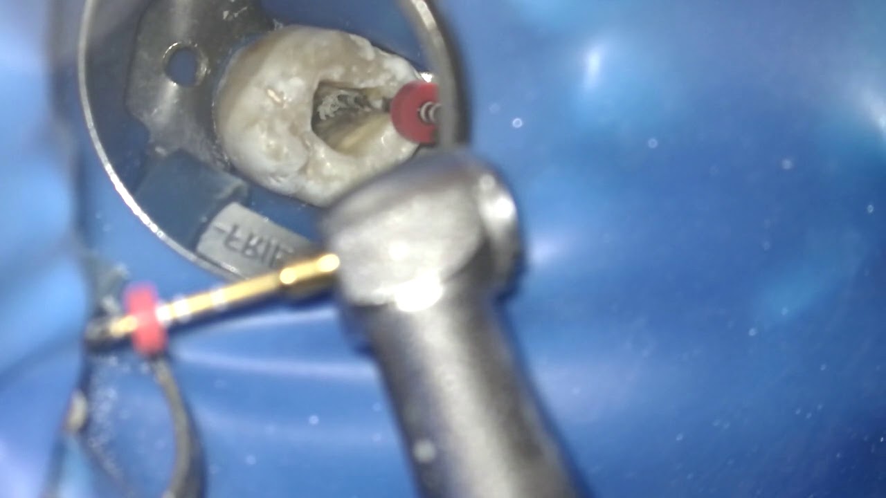 Reneé Jiménez Castellanos-12