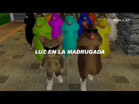 ratas bailando tiktok | Sayfalse, cape, JXNDRO - MONTAGEM RUGADA (Español)