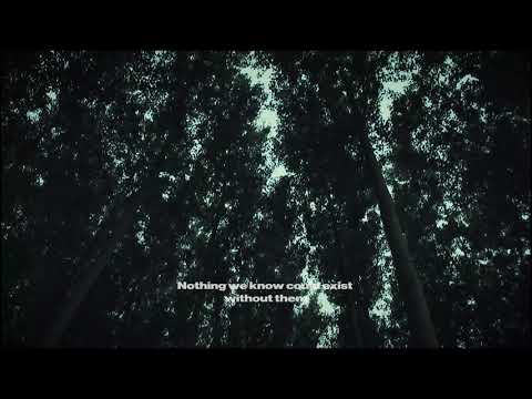 Introducing Time & Space EP - Dubsound