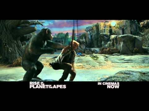 Rise of the Planet of the Apes - In cinemas now!
