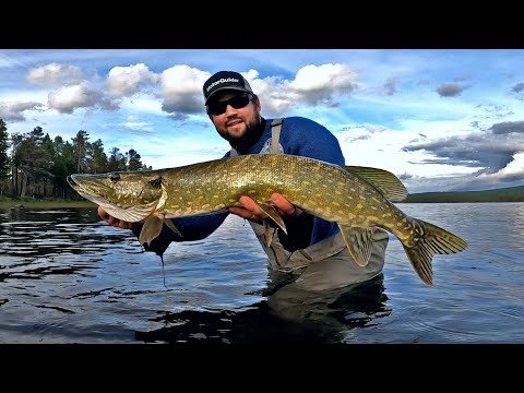 JAKKI LIPAT TESTISSÄ - HAUKEA, HARJUSTA, AHVENTA JA TAIMENTÄRPPI
