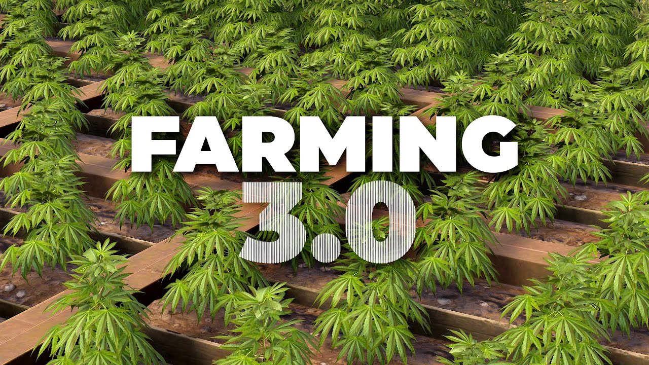 FARMING 3.0 — ULTIMATE GUIDE / Best Genes, Egg and Honey farm in Rust
