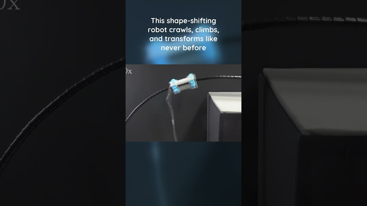 Soft robots master crawling, climbing, and shape-shifting with one air input #robotics