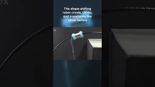 Soft robots master crawling, climbing, and shape-shifting with one air input #robotics