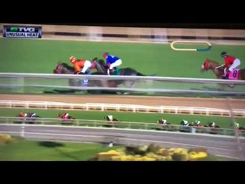 UNUSUAL HEAT TURF CLASSIC (G STAKES) 1/27/18 - RYE !!!