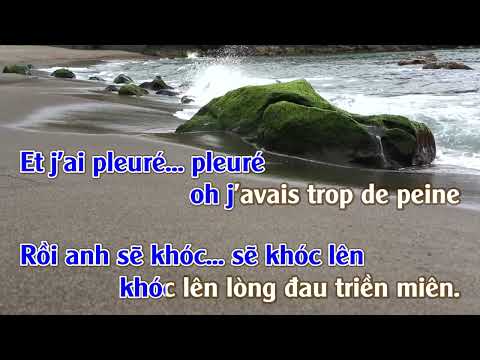 Aline --Gọi Tên Người Yêu  | Karaoke | Masculin | Version Française-Viet