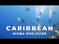 Best Diving In The Caribbean 5 Must Dive Caribbean Sites Win A Roatán Dive Trip