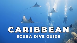 Best Diving in the Caribbean: 5 Must-Dive Caribbean Sites (+ Win a Roatán Dive Trip!)
