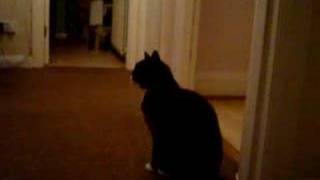 . For phoebe still a baby .