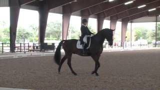Video of Handsome