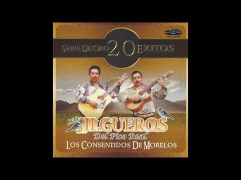 Los Jilgueros del Pico Real -Masacre en Guerrero