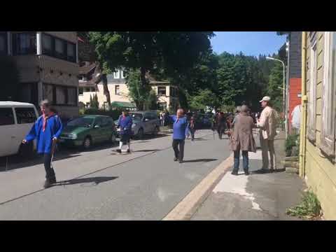 🐮🐮🐮🐮 Wildemann Viehaustrieb * Das Tirol im Harz *  🐮🐮🐮🐮🐮