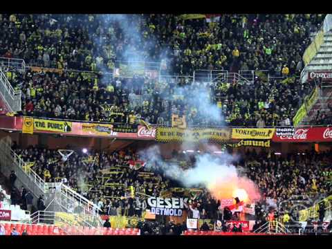BVB Fan Video