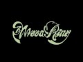 Lorde - Mood Ring (feat. Phoebe Bridgers & Clairo)