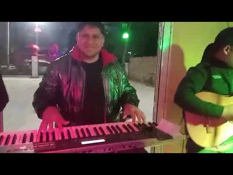 Pali y sus banda fenix2026