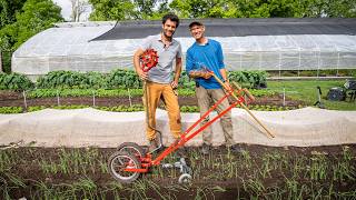 Wheel Hoe, Wheel Weeder & Torsion Weeder: The Perfect Combo for Market Growers