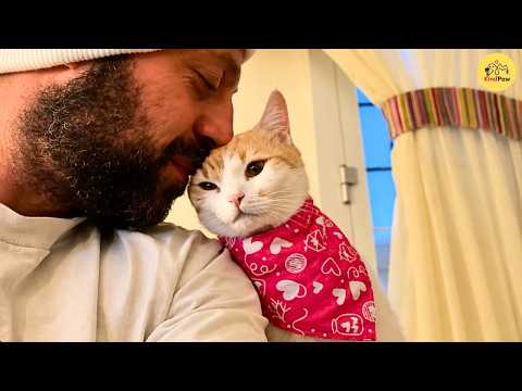 YouTube 썸네일