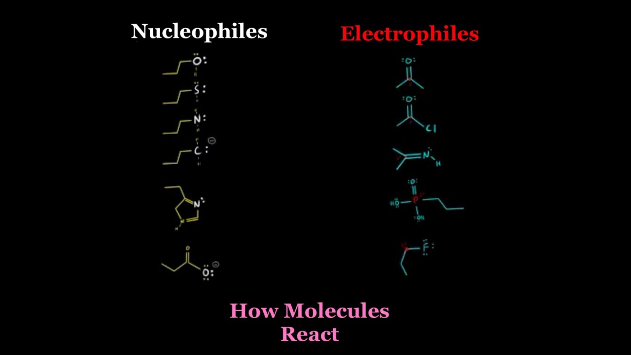 How to Analyze Nucleophiles & Electrophiles to Predict EVERY ORGANIC CHEMISTRY REACTION! MCAT O-CHEM