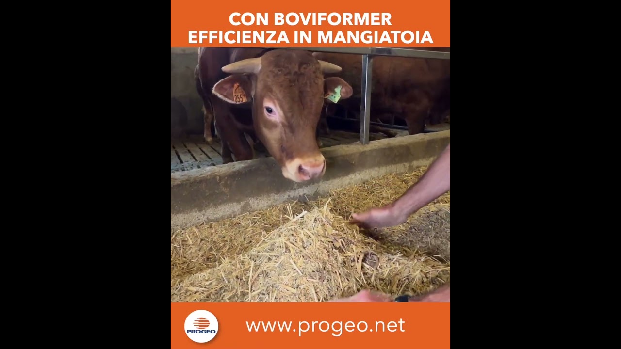 Con BOVIFORMER efficienza in mangiatoia
