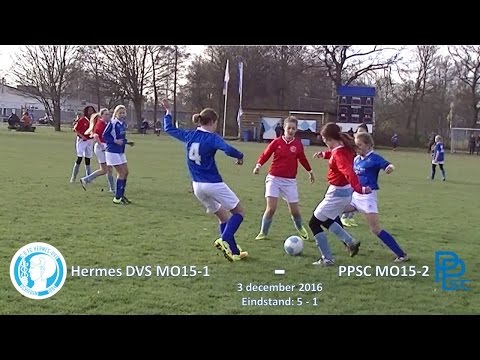 Samenvatting Hermes DVS MO15-1 -  PPSC MO15-2