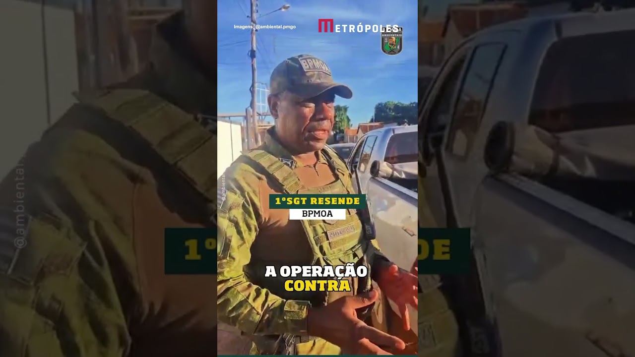 GO: polícia apreende pirarucu de 100 kg em rancho