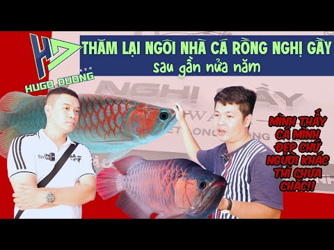 Hugo Dương tham quan cửa hàng Nghị Gầy (P1)