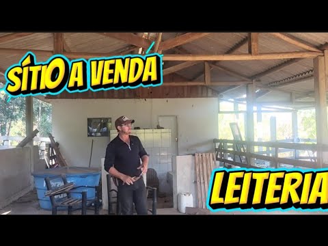 Sítio 7 alqueires em Ibaiti PR com barracão para leiteria 
