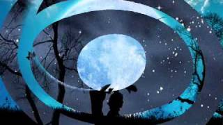 CÉU DE SANTO AMARO ( Caetano Veloso e Flávio Venturini ).wmv