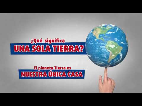 Día internacional del medio ambiente
