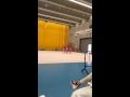 Чемпионат по художественной гимнастике Альдава