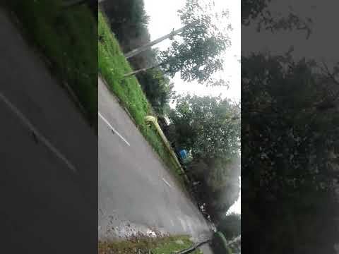 tren marfar MRCE legat de un ldh