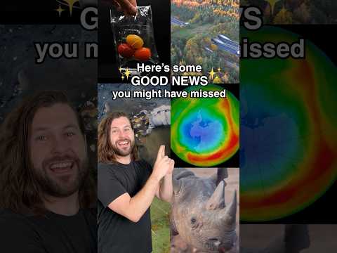 Good News You Might Have Missed To Start Your 2026