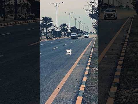 Tiggo 8 Pro Vs Oshan X7