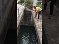 New Primitive Technology FISH TRAP With Fishing SR Short