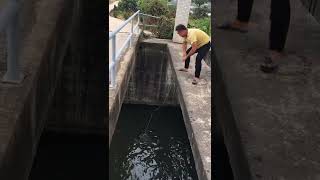New Primitive Technology FISH TRAP with Fishing SR #short