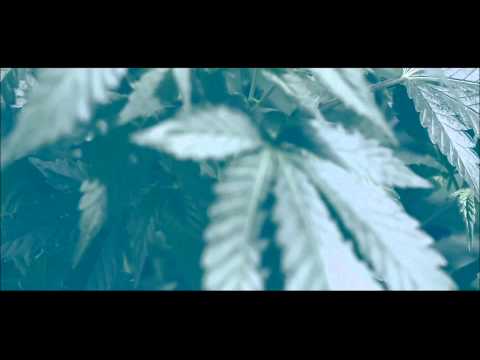 AR-15 aka YP - Get Money (Official HD Video)