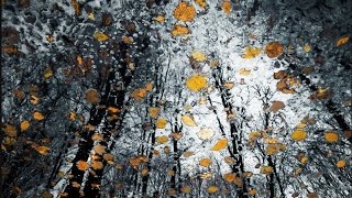 Gary Peacock & Marc Copland  The Pond