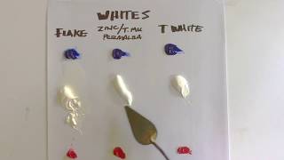Color in Perspective - Whites