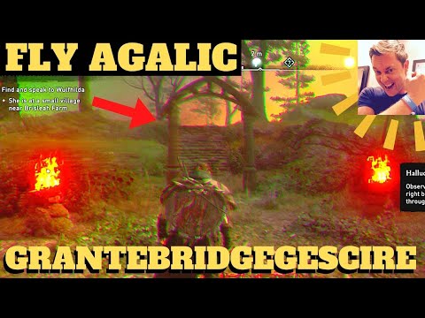 Assassins Creed Valhalla: Fly Agaric Grantebridgegescire (Isle Ely Monastery, Brisleah Farm, Soham)