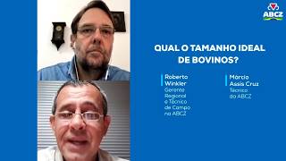 Miniatura do vídeo