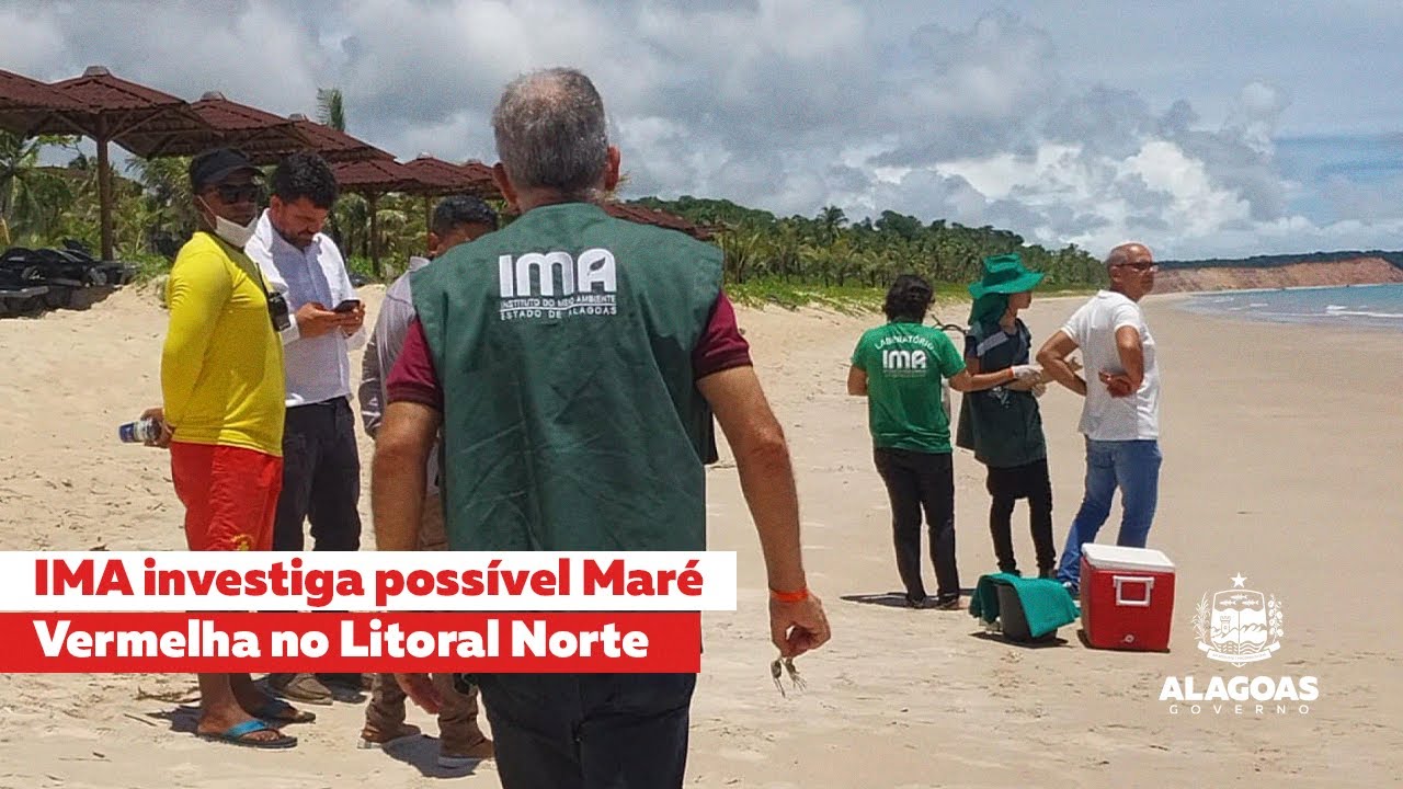 IMA investiga possível Maré Vermelha no Litoral Norte
