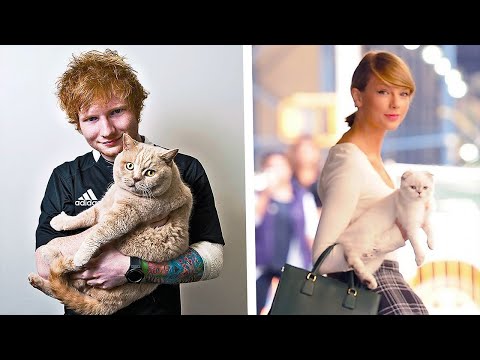 10 Celebrities With Their SPECIAL Cats
