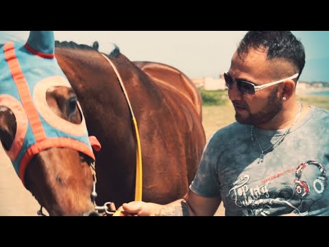 Francesco Stuto - Ktm (Ufficiale 2018)