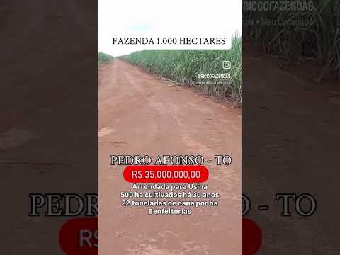 1.000 Hectares em Pedro Afonso-TO