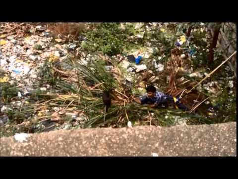 Copy of Puppy rescued from Well