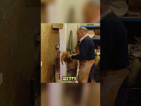 Cекрет бурдюков который покорил Италию 🍇🤯