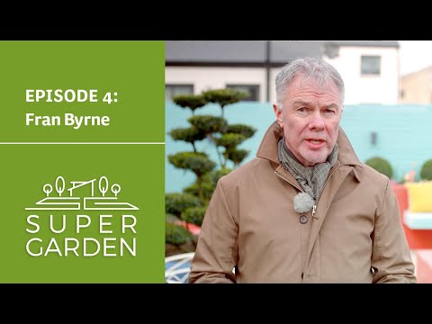 Gary's Favourite Plants from Fran Byrne's Garden