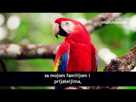 Moja najveća želja - prelijepa ilahija HD