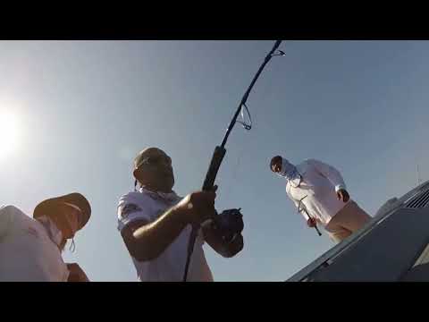Jigging & Bottom Fishing-Adriatic Sea