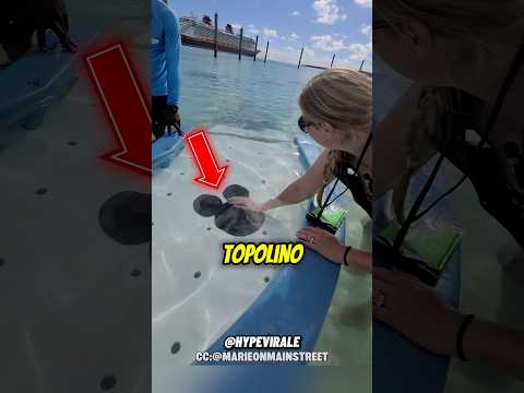 NON METTERE MAI LA MANO QUI😱 #shorts